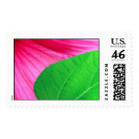 pinkgreencontrast stamp