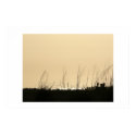 Pinkish dawn. posters