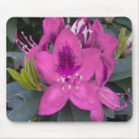 PinkRhododendron Mouse Pad