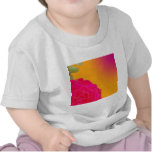 *Pinkrose* Clothing T Shirt