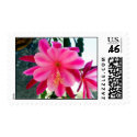 PINKS, A PAIR... postage
