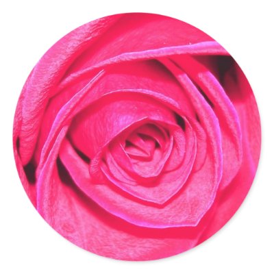 Pinks and Reds Envelope Sticker by pier0045
