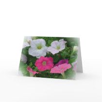 Pinks and Whites cards by StarLily Pinks and Whites cards