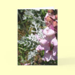 Pinks! Greeting Card