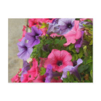 Pinks postcards by Anca_pui Pinks postcards