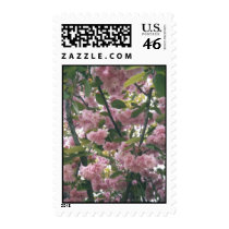 pinkspringtrees 001 postage by BeautyUnlimited pinkspringtrees 001 postage