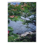 pinktreewaterview 001 greeting card