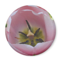 pinktulip magnets