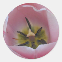 pinktulip round stickers