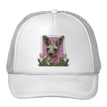 PinkTulipsKangaroo.png Gorra