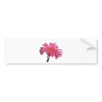 pinky bumper stickers by SNAPPYDAVE pinky bumper stickers