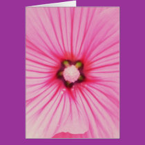 Pinky cards by ggbythebay Pinky cards