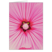 Pinky cards