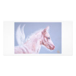 Pinky pegasus foal photo cards