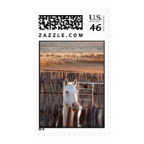 Pinky postage
