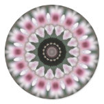 pinkyia