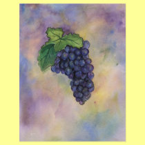 Pinot Noir Wine Grapes Flyer flyers