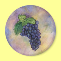 Pinot Noir Wine Grapes Magnet magnets