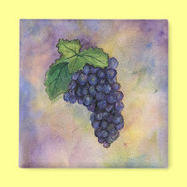Pinot Noir Wine Grapes Magnet magnets
