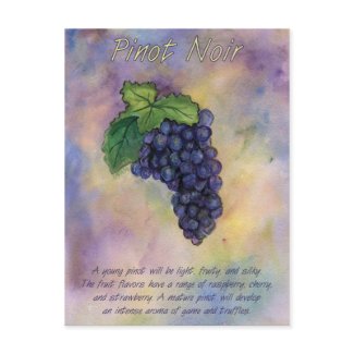 Pinot Noir Wine Grapes Postcard postcard