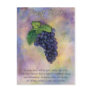Pinot Noir Wine Grapes Postcard