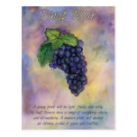Pinot Noir Wine Grapes Postcard postcards