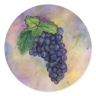 Pinot Noir Wine Grapes Sticker sticker