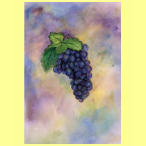 Pinot Noir Wine Grapes t-shirts