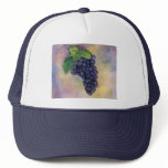 Pinot Noir Wine GrapesHat