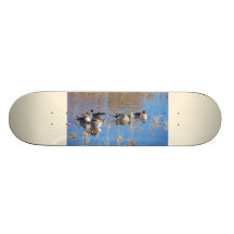 Pintail Duck Birds Skateboard