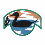 Pintail