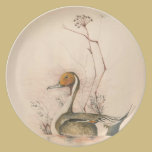 Pintail on a plate