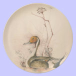 Pintail on a plate plates