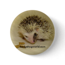 pinto baby pin buttons by hedgehogworld pinto baby pin buttons