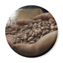 Pinto Beans in Hands magnets