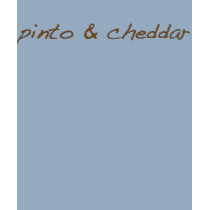 pinto & cheddar, girls t-shirts