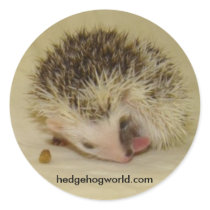 pinto face baby sticker