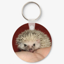Pinto face hedgehog keychains
