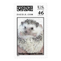 pinto hedgehog stamp