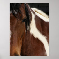 Pinto horse print