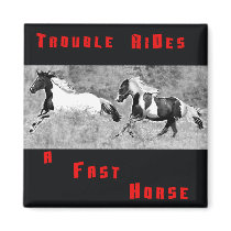 Pinto Horses Magnet