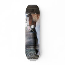 Pinto Looking Back Skate Decks