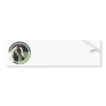 Pinto Pony Bumper Stickers