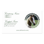 Pinto Pony Business Card
