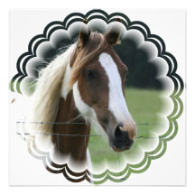 Pinto Pony Invitation