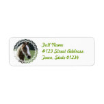 Pinto Pony Return Address Label