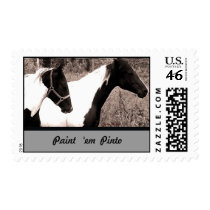 Pinto Postage Stamp