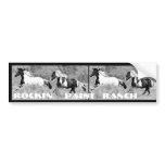 Pintos Galloping, Customizable Bumper Stickers
