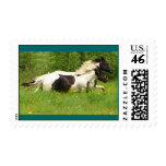 pintos postage stamps