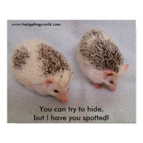 pintos poster posters by hedgehogworld pintos poster posters